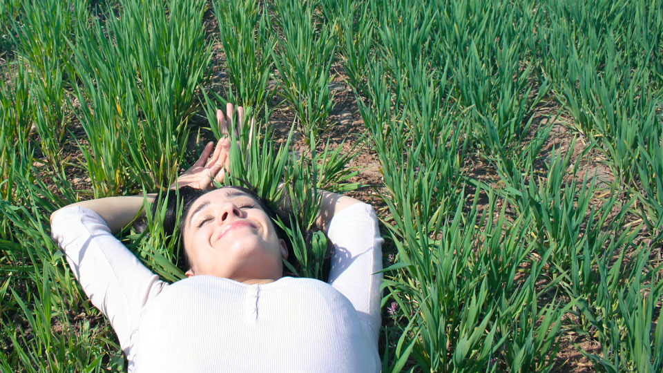 Lady lying in field, relaxing and smiling